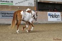 23-APHA SS_041